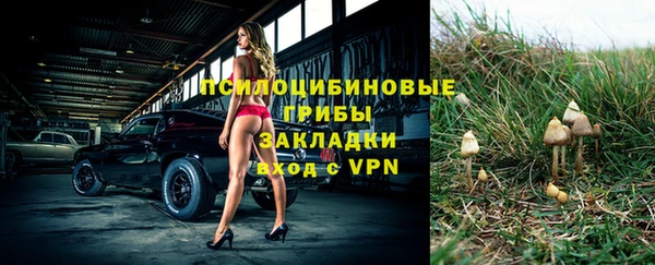 индика Лихославль