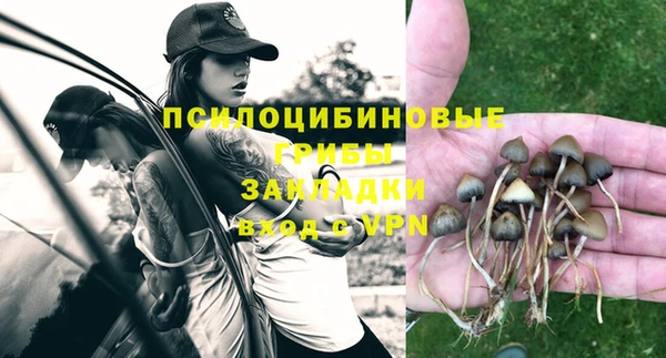 прущие крисы Магадан