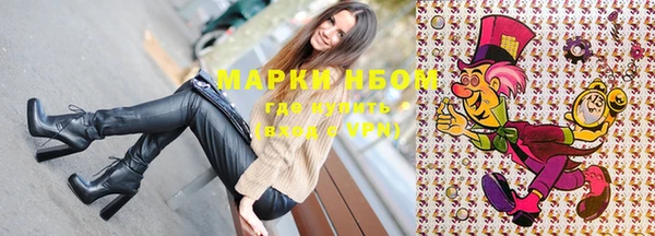 индика Лихославль