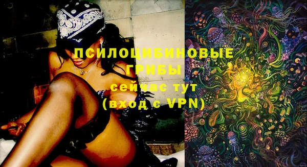 скорость Липки