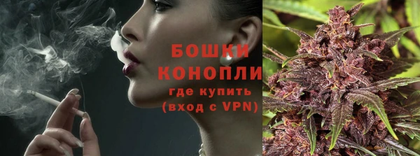 сатива Березники