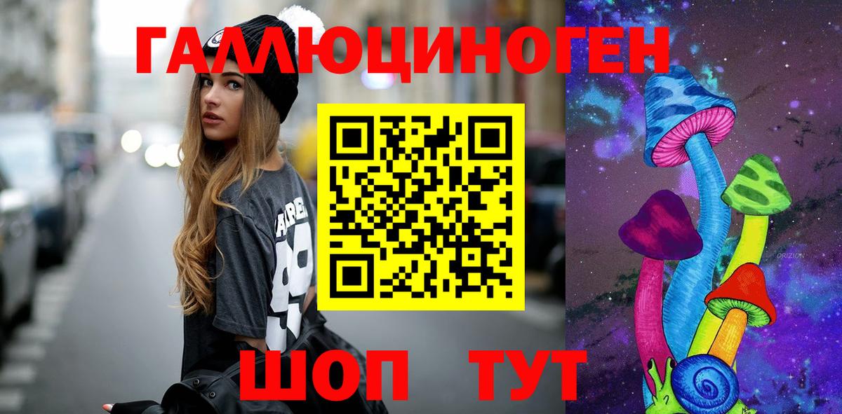 Галлюциногенные грибы прущие грибы  Тверь  Псилоцибиновые грибы Psilocybe 