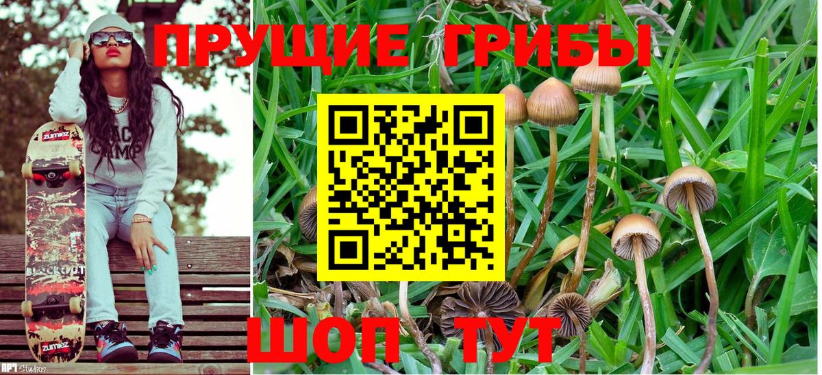 Тверь  Галлюциногенные грибы мицелий  Вход с VPN 
