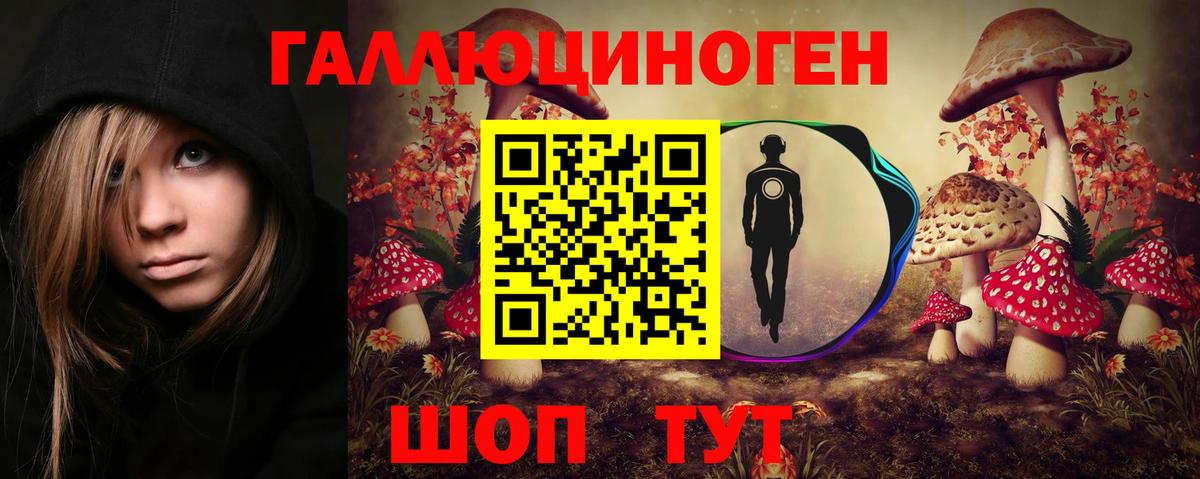 Галлюциногенные грибы Cubensis Тверь